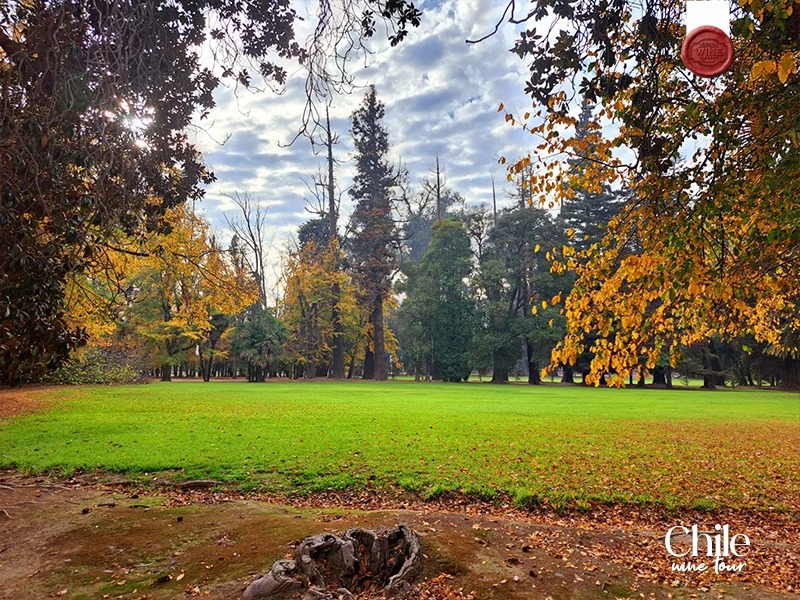 chile - corpus christi (10)