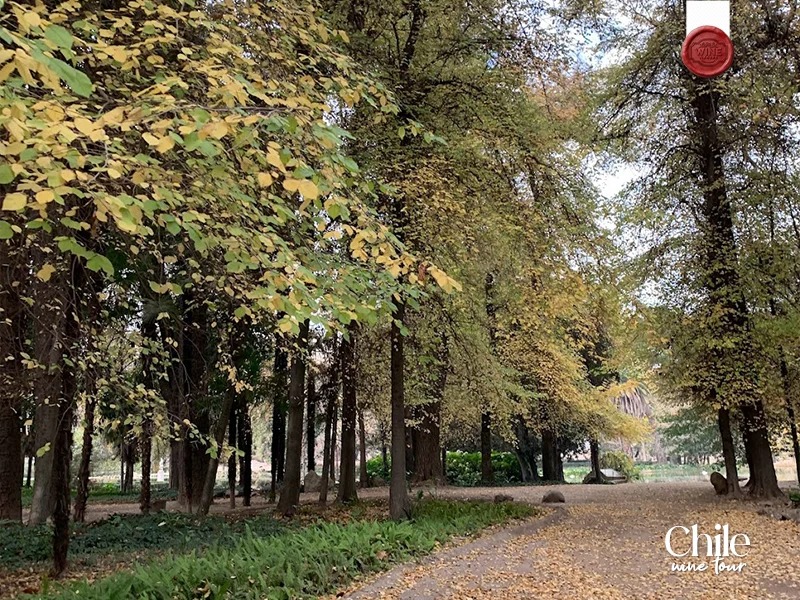 chile - corpus christi (3)