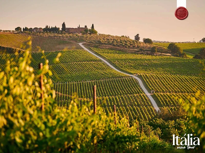 italia vinhos e sabores (3)