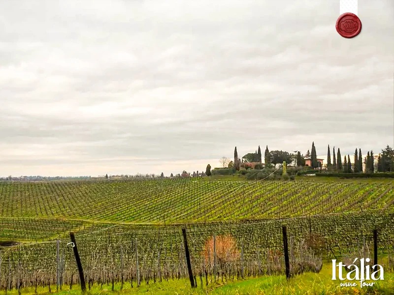 italia vinhos e sabores (5)