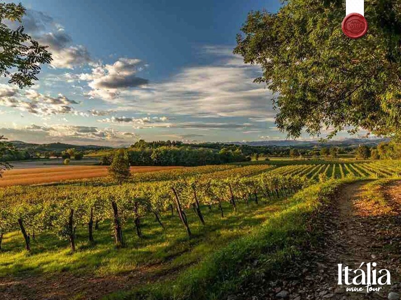 italia vinhos e sabores (9)