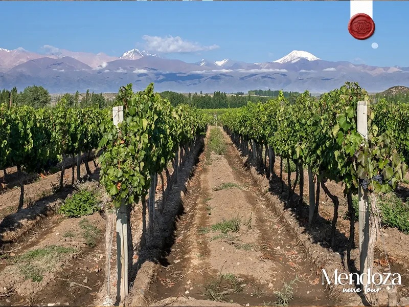 mendonza - feriado do trabalho (7)