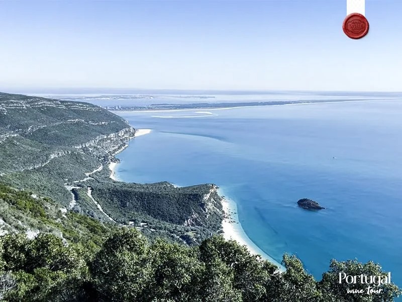portugal wine tour (1)
