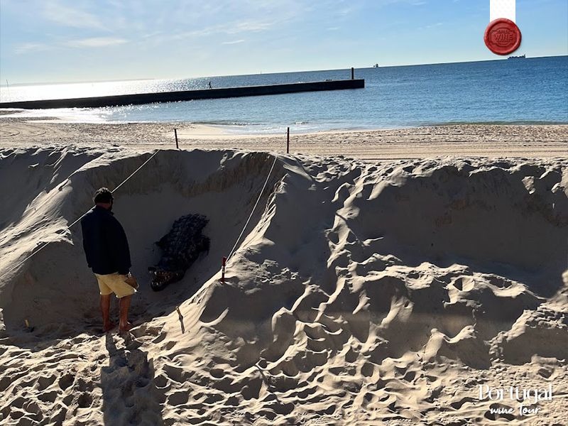 portugal wine tour (8)