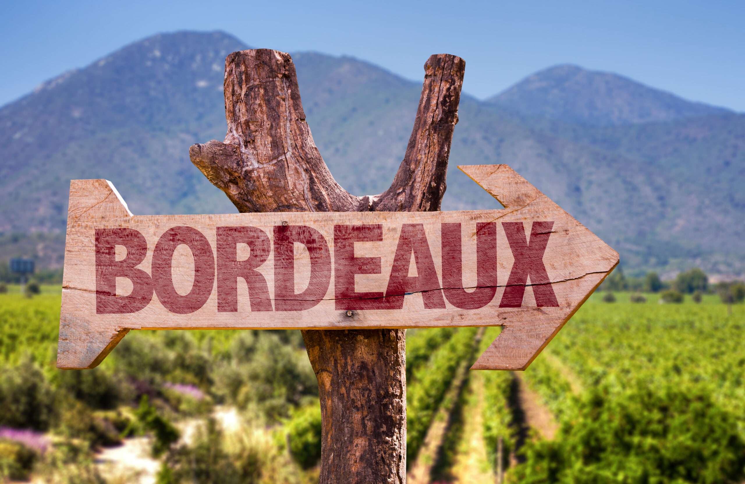 Bordeaux,Wooden,Sign,With,Winery,Background